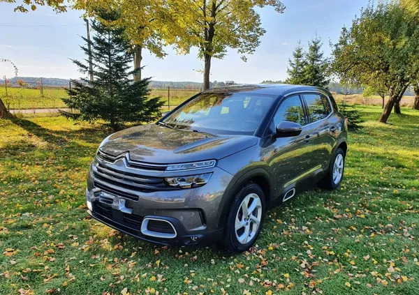 Citroen C5 Aircross cena 99700 przebieg: 44000, rok produkcji 2021 z Ostrzeszów